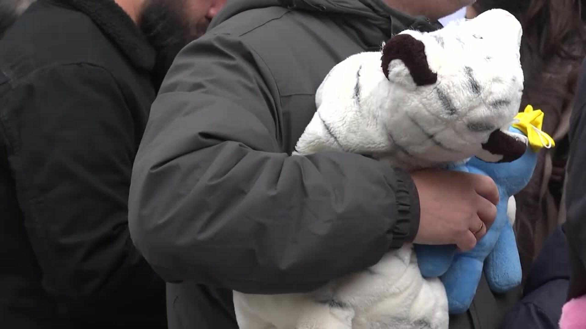 Fundación Madrina recibe una "lluvia de peluches" en el Movistar Arena de Madrid