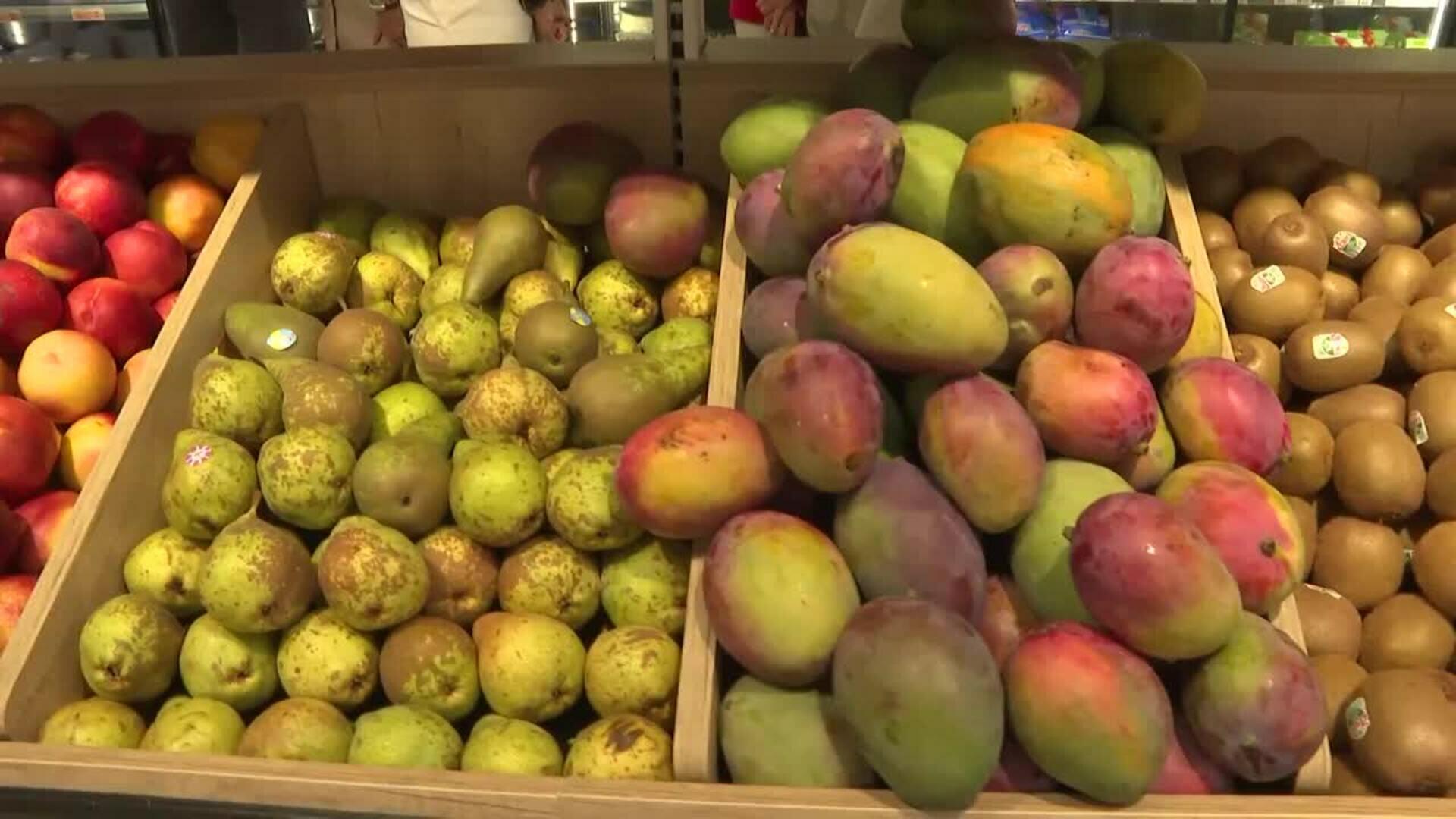 El apagón y los incendios forestales, los temas sociales que protagonizaron 2025