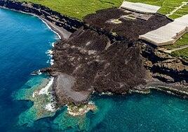 La explosión de vida submarina del Tajogaite llega a la pantalla del Museo Elder