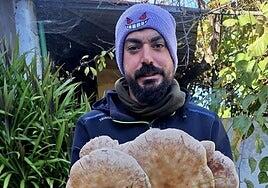 Lluvia y humedad, la receta para recolectar una seta de más de 2,2 kilos en Valleseco