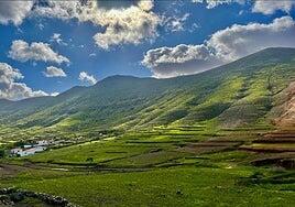 Fuerteventura, venderla verde