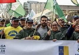 Canarias exige al Gobierno de España que se faje en una defensa «con uñas y dientes» del Posei