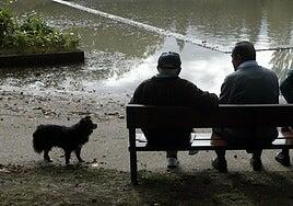 Los planes de pensiones de empleo se atascan y ponen en riesgo el pacto del Gobierno con Bruselas