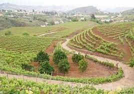 El día más lluvioso de 2025 en Gran Canaria multiplicó por más de 2,5 al de 2024