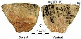 Las flechas envenedadas más antiguas tienen 60.000 años y han sido descubiertas en Sudáfrica