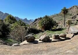 Mejoras en las pistas forestales de Los Moriscos, Guardaya y Tirma