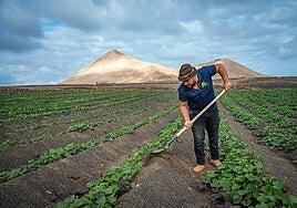 Menos afiliados a la Seguridad Social, tras el máximo en noviembre
