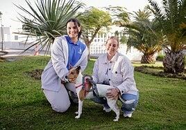 Un voluntariado que deja huella