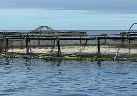 Ben Magec y Turcón exigen «respuestas claras» tras el cierre de playas en Telde