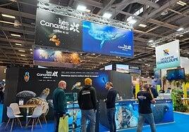 Buceando en busca de turistas