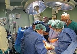 209 trasplantes de órganos en Canarias en 2025: caen sobre todo los de riñón