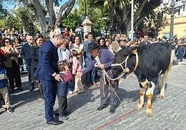 Feria de ganado, tradición y puchero en Agüimes por San Sebastián