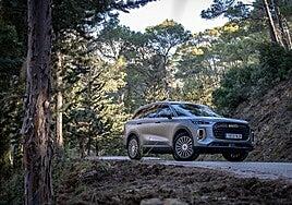 Ebro derriba el mercado de precios con su última apuesta: siete plazas y más de 400 caballos