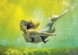 Sirenas S.A.