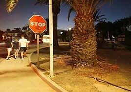 El procedimiento para cuidar las zonas verdes de Teguise queda en suspenso