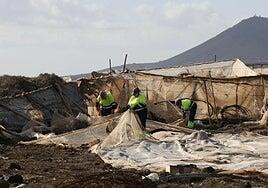 La Mancomunidad del Norte limpiará nueve hectáreas de invernaderos abandonados