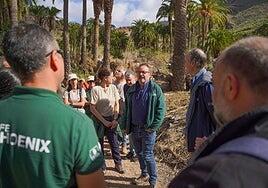 LIFE Phoenix plantará 30.000 palmeras entre Guguy y Arteara