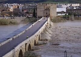 Cierran el Puente Romano de Córdoba al paso de peatones por la crecida del Guadalquivir