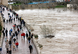 Las imágenes aéreas de Córdoba y Jerez que muestran los estragos del temporal en Andalucía