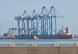 Llegan a Opcsa las dos nuevas grúas para atender megabuques