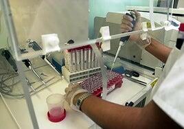 Sanidad alerta sobre el regreso del sarampión y pide revisar la vacunación en Canarias