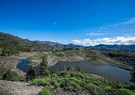 El agua embalsada en las presas del Cabildo garantiza el riego en 2026 y en 2027