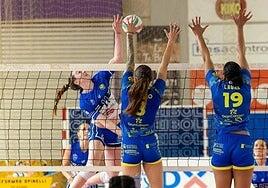 El Emalsa Gran Canaria encara su segundo derbi consecutivo ante un renovado Haris