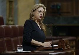 Cuerpo da su «apoyo decidido» para defender la singularidad canaria en el nuevo marco financiero