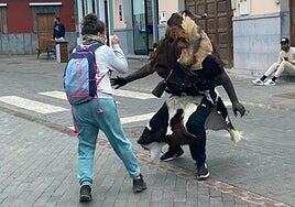 Cabras y machos ya están listos: el 17 de febrero tomarán las calles para el carnaval tradicional de La Aldea de San Nicolás