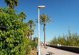 244 nuevas farolas para el paseo entre San Agustín y Playa del Inglés