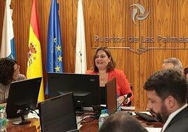 Calzada respalda que Canarias debe tener su propia subasta de eólica marina