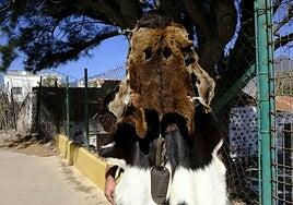 Programa del carnaval tradicional de La Aldea de San Nicolás 2026: horario y actos