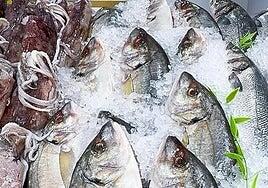 Tres de cada cuatro comedores escolares en España no garantizan el consumo mínimo de pescado azul recomendado