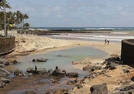 Teguise valora tres ofertas para poner hamacas y sombrillas en las playas