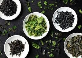 Comer algas está de moda: cuáles son las más consumidas y qué nos aportan