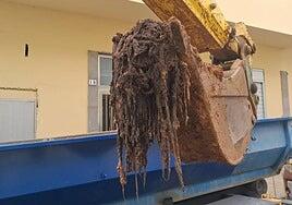 Toallitas que ponen en riesgo a toda la red de saneamiento de Puerto del Rosario