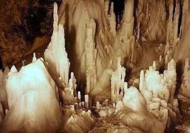 La bacteria que ha aguantado 5.000 años bajo el hielo y es resistente a 10 antibióticos