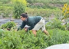 El ejemplo del modelo agroecológico y comunitario de La Carrucha Verde