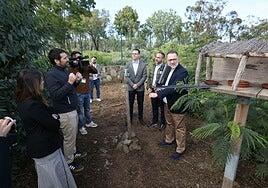 Moya marca la hoja de ruta para continuar con la reforestación de los bosques canarios