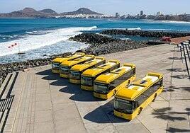 Guaguas Municipales presenta 24 nuevos vehículos y prevé incorporar ocho más antes de final de año