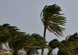 El Gobierno canario declara la alerta por vientos en tres islas