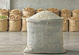 Hortalizas para Dubai en Etiopía y maíz para China en Angola