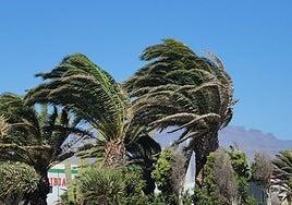 La borrasca Regina barre Canarias con un cóctel de lluvias, calima y nieve: la Aemet mantiene los avisos por unas horas