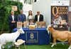 La IX Feria Europea del Queso reunirá este fin de semana a una treintena de queserías en La Aldea de San Nicolás