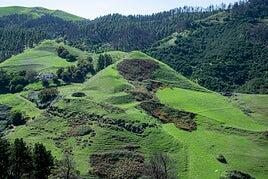 La masificación hace mella en Monte Pavón