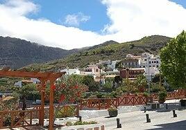 Muere un perro tras ser abandonado durante una semana en Gran Canaria