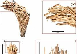 Una hoz en el Bentayga: así eran las primeras herramientas que usaban los canarios para cosechar