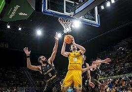 La Laguna Tenerife - Dreamland Gran Canaria: un derbi de orgullo en Europa con el liderato en juego