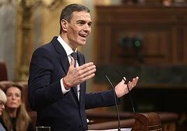 Sánchez irá al Congreso el día 25 tras sondear el apoyo parlamentario a sus medidas por Irán