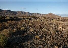 Los majos ya eran sostenibles, hace unos 2.000 años, en la antigua Fuerteventura